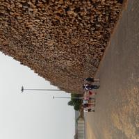 DSCN2061.JPG