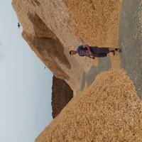 DSCN2056.JPG