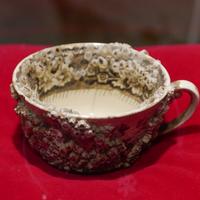 P1020322.JPG