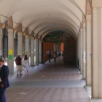 P1010476.JPG