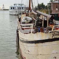 IMG_2782.JPG
