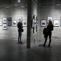 P1020335.JPG