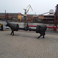DSCN2065.JPG