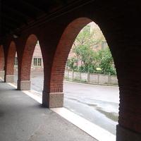 IMAG0338.jpg