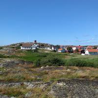 IMAG0795.jpg