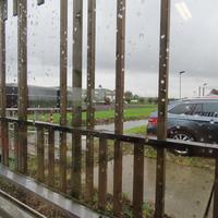 IMG_1378.JPG