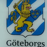 IMAG0690.jpg
